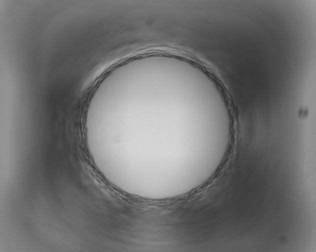X0000113921496200909241317