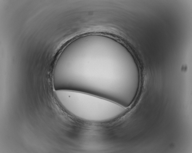 X0000113921497200909241317
