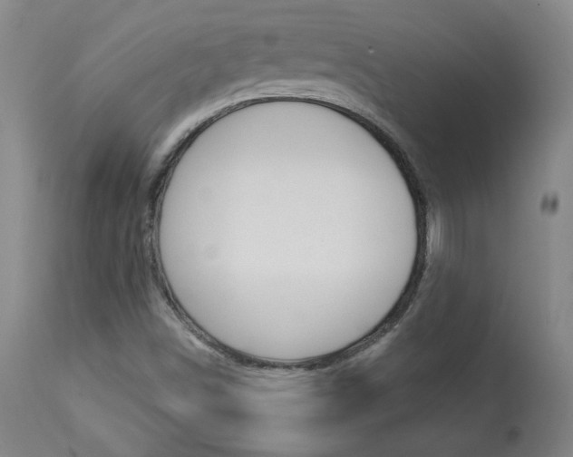 X0000113921498200909241317
