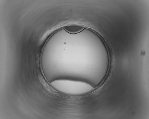 X0000113921499200909241317