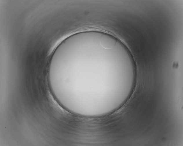 X0000113921500200909241317