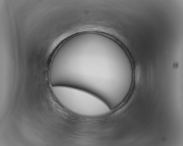 X0000113921501200909241317