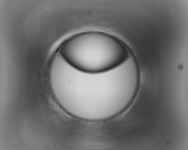 X0000113921502200909241317