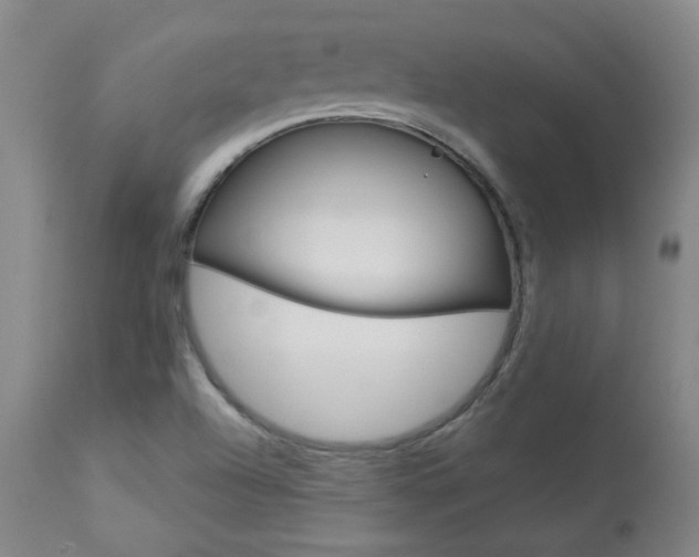 X0000113921504200909241317