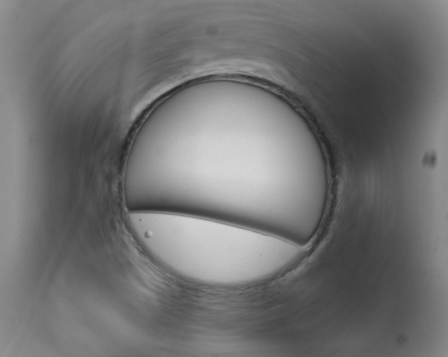 X0000113921505200909241317