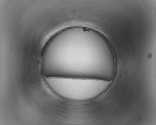 X0000113921507200909241317