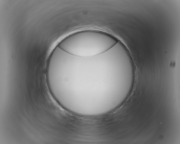 X0000113921508200909241317