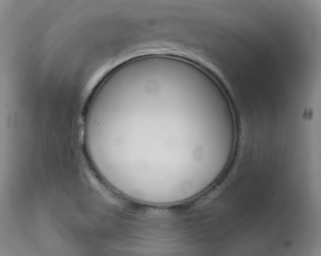 X0000113921509200909241317