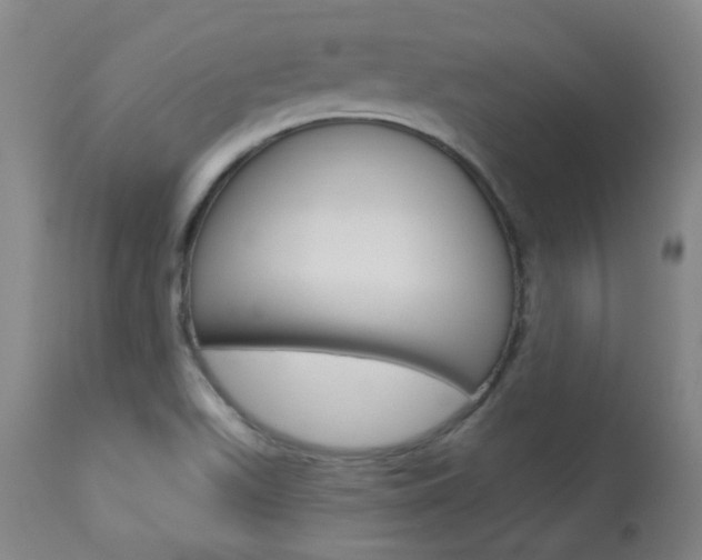 X0000113921511200909241317