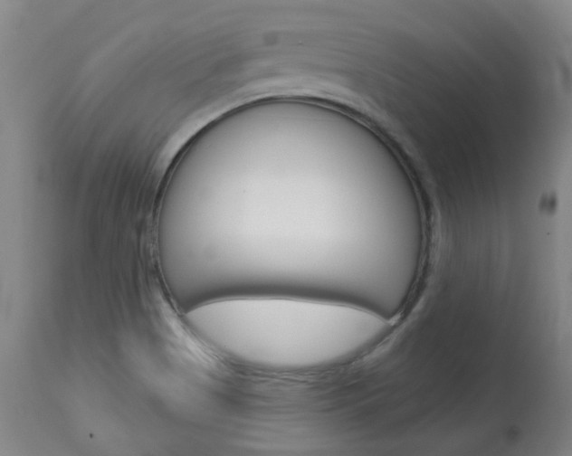 X0000113921513200909241317