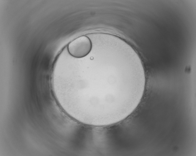 X0000113921514200909241317