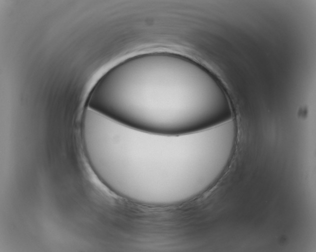 X0000113921516200909241317
