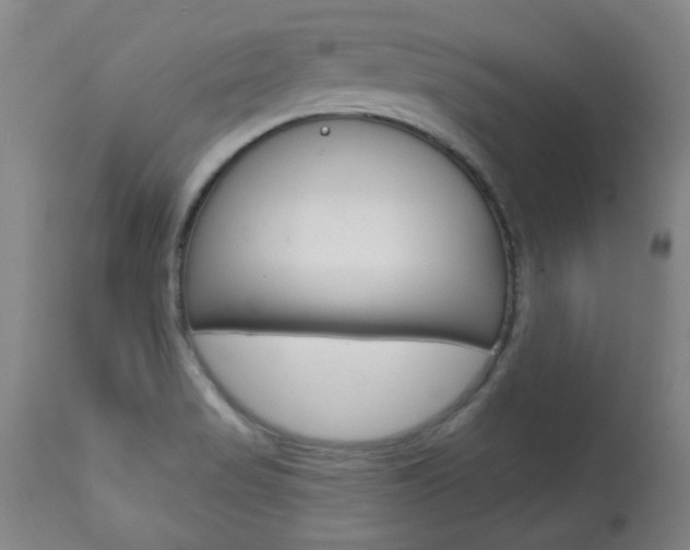 X0000113921517200909241317