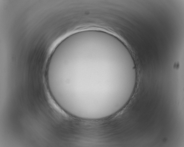 X0000113921518200909241317