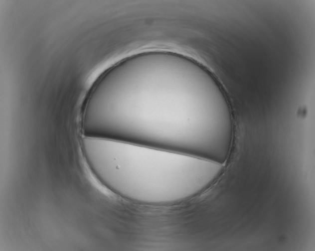 X0000113921519200909241317