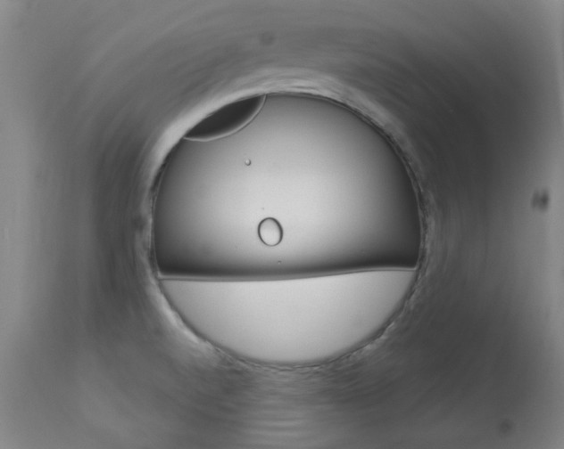 X0000113921520200909241317