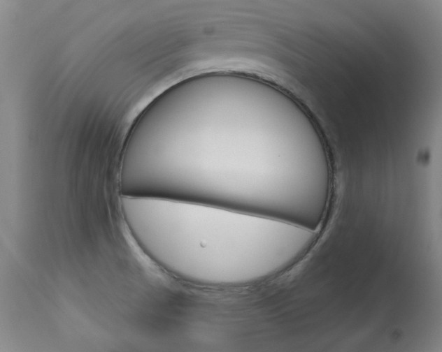 X0000113921521200909241317