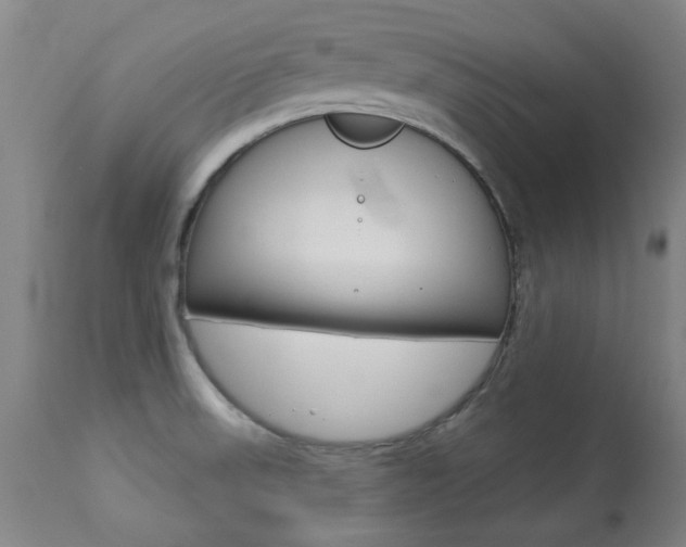 X0000113921523200909241317