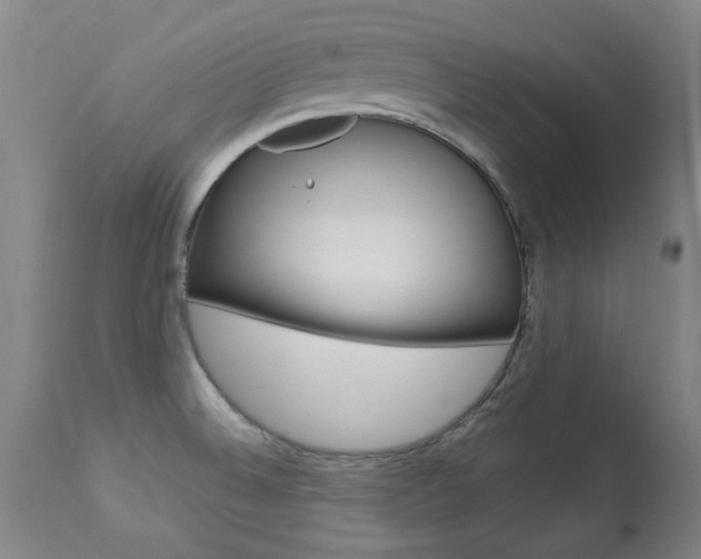 X0000113921524200909241317