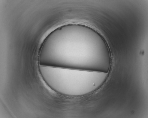 X0000113921525200909241317