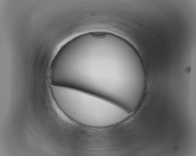 X0000113921526200909241317