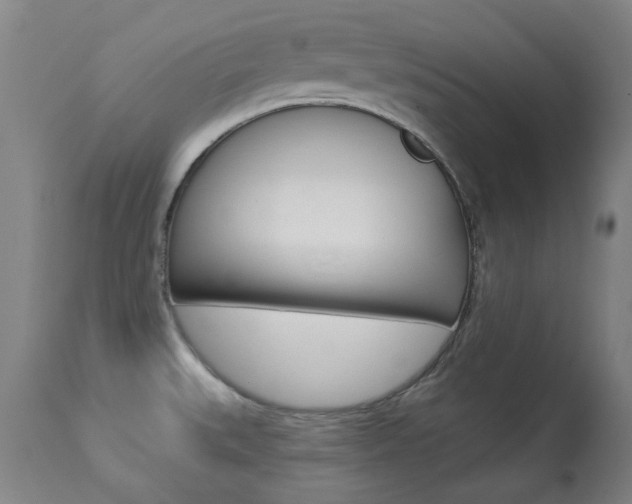 X0000113921527200909241317