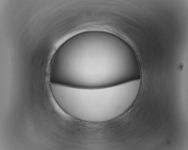 X0000113921528200909241317