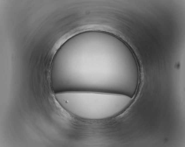 X0000113921529200909241317