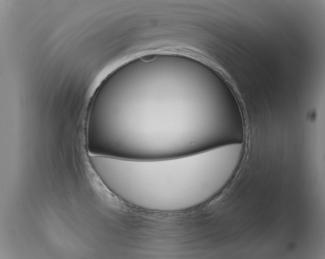 X0000113921530200909241317
