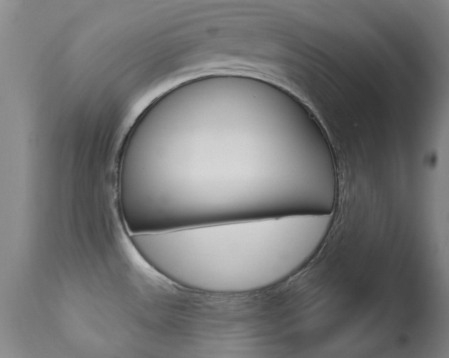 X0000113921531200909241317