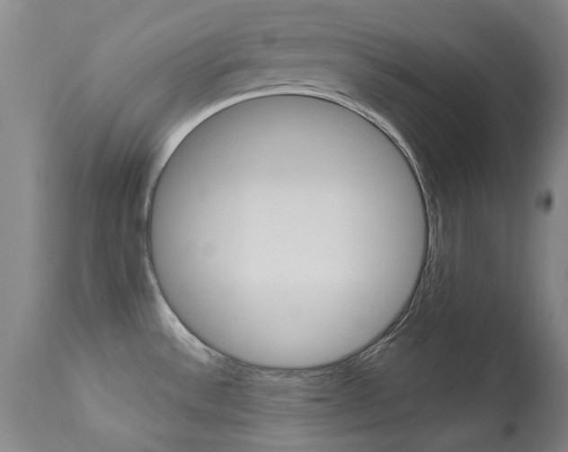 X0000113921532200909241317