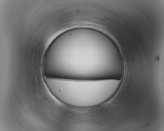 X0000113921533200909241317