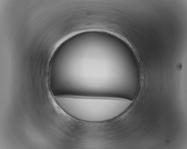 X0000113921534200909241317