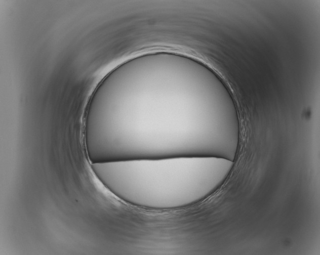 X0000113921535200909241317