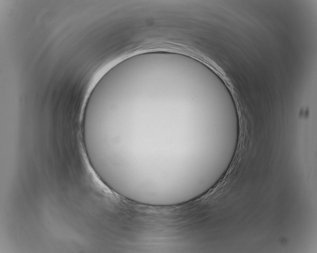 X0000113921536200909241317