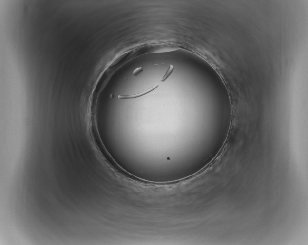 X0000113920002200909241539