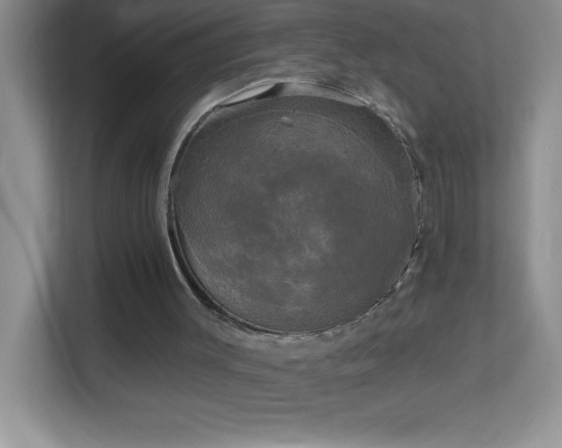 X0000113920003200909241539