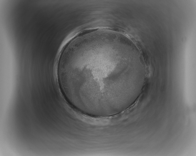 X0000113920004200909241539