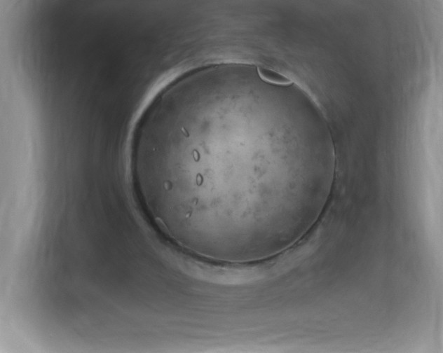 X0000113920008200909241539