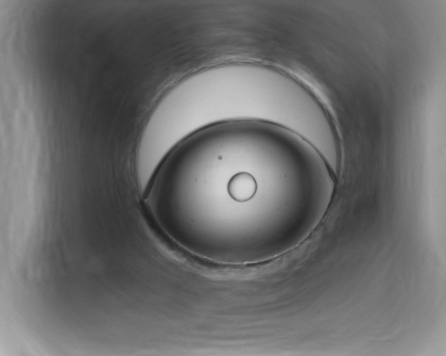 X0000113920009200909241539