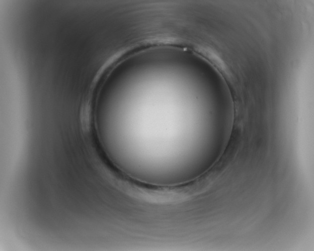 X0000113920012200909241539