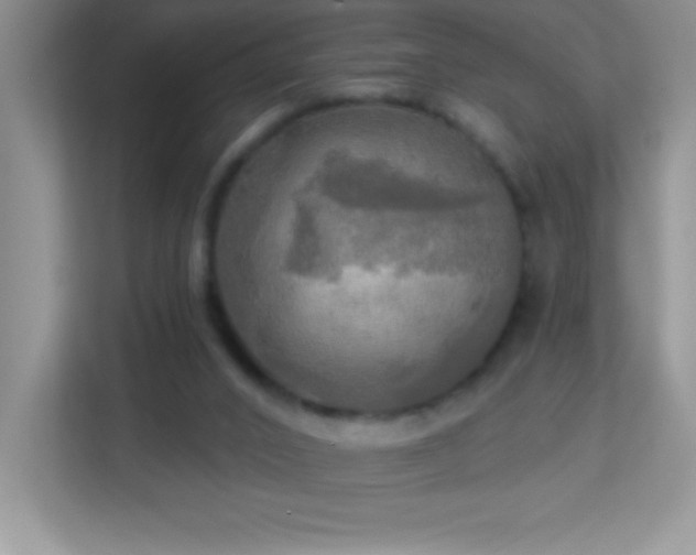 X0000113920016200909241539