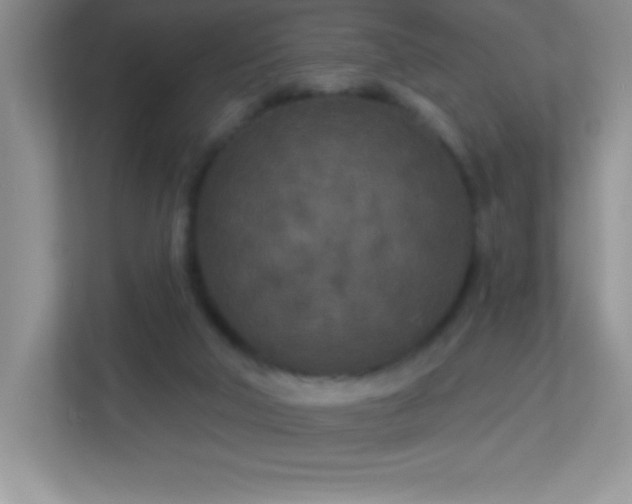 X0000113920018200909241539