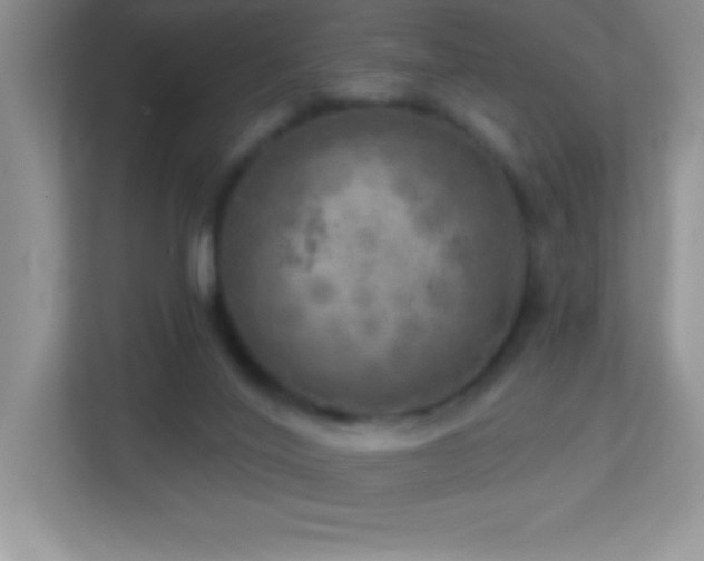 X0000113920020200909241539