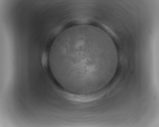 X0000113920026200909241539