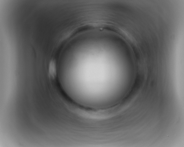 X0000113920028200909241539