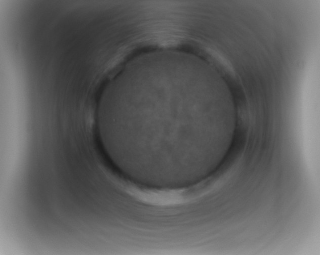 X0000113920032200909241539