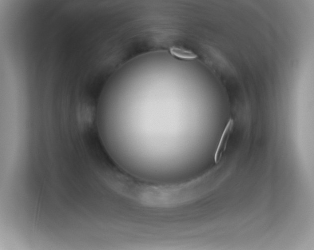 X0000113920033200909241539