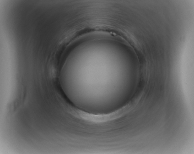 X0000113920039200909241539