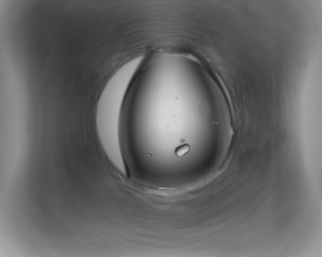 X0000113920041200909241539